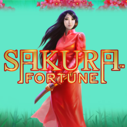 Sakura Fortune - rollex118