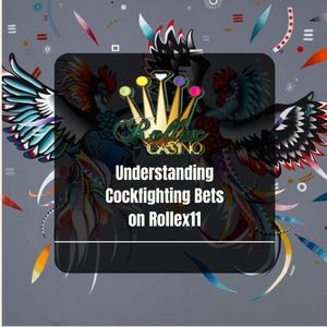 Rolex11 - Understanding Cockfighting Bets on Rolex11 - Logo - Rolex118